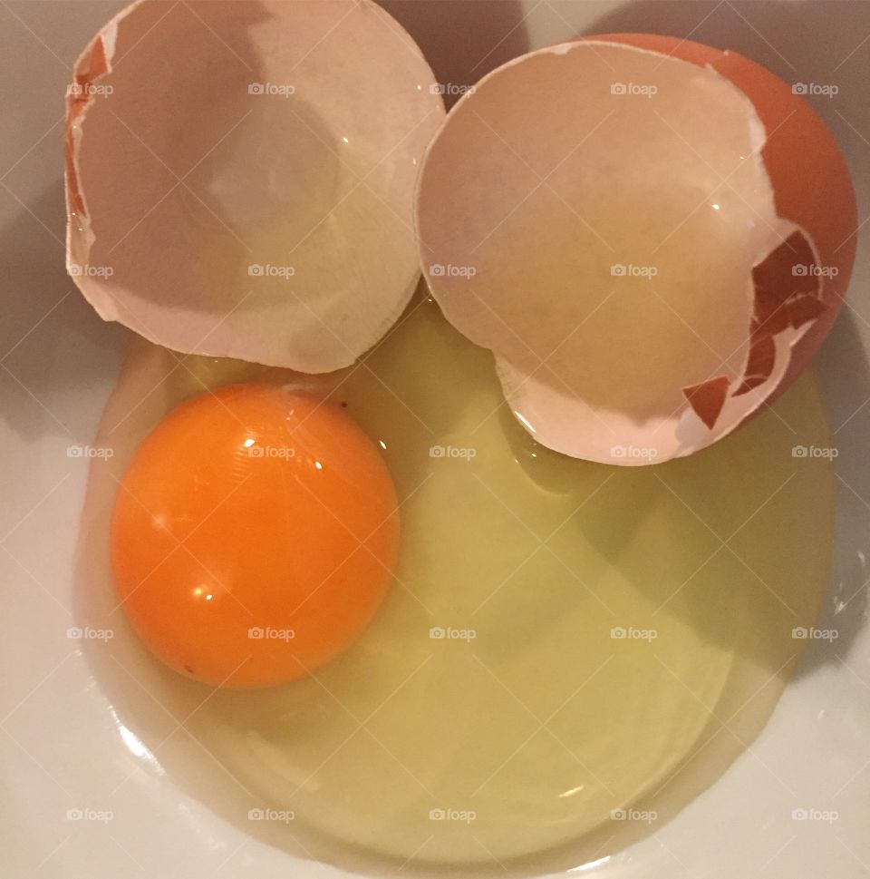 Egg