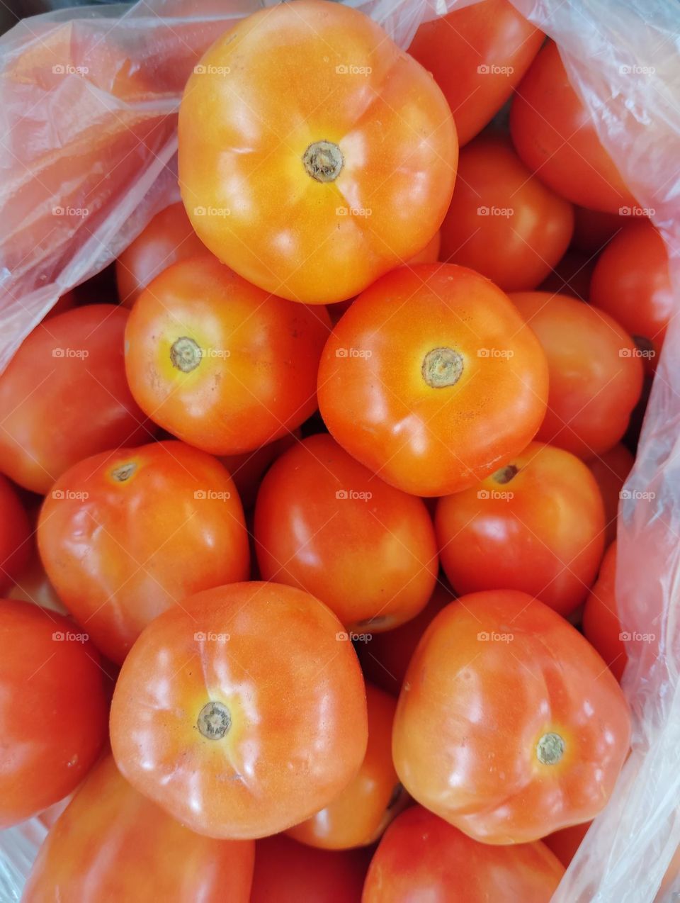 Red tomato seasonal fresh vegetables use in salad and mix with other vegetables very nutritious