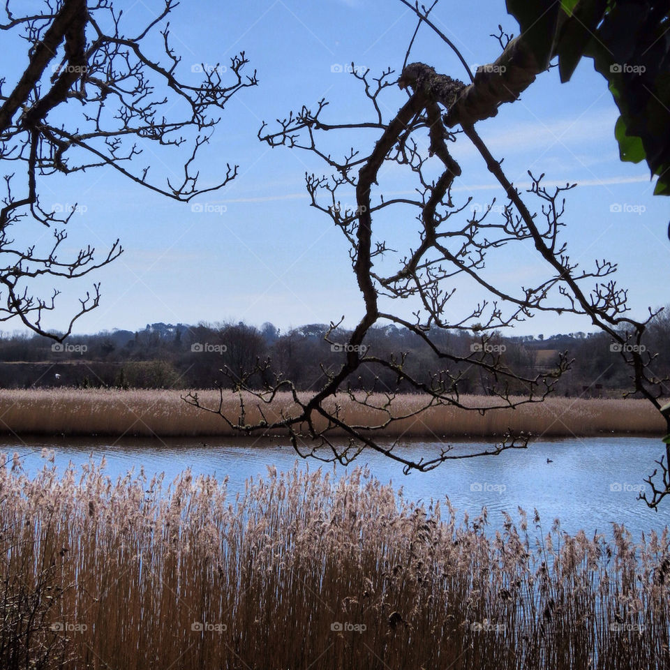 A view of Cosmeston Lakes