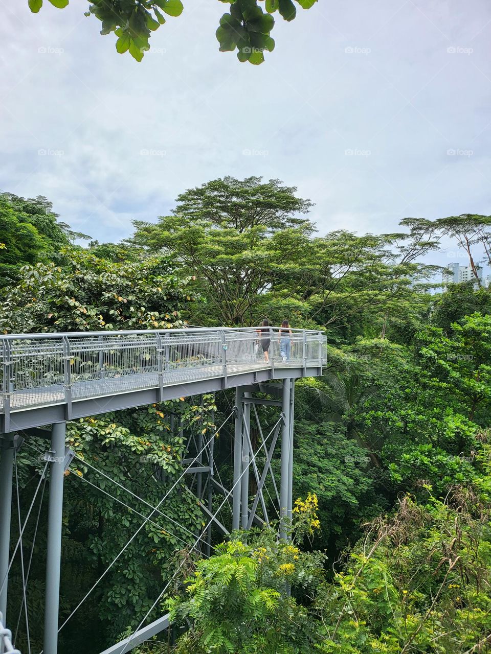 It's a great viewing site