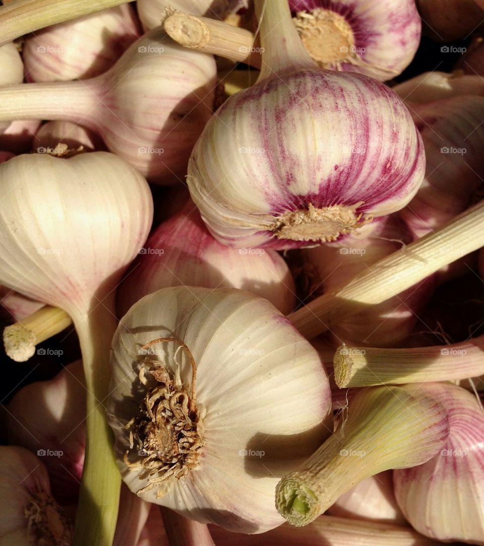 Close-up of garlic