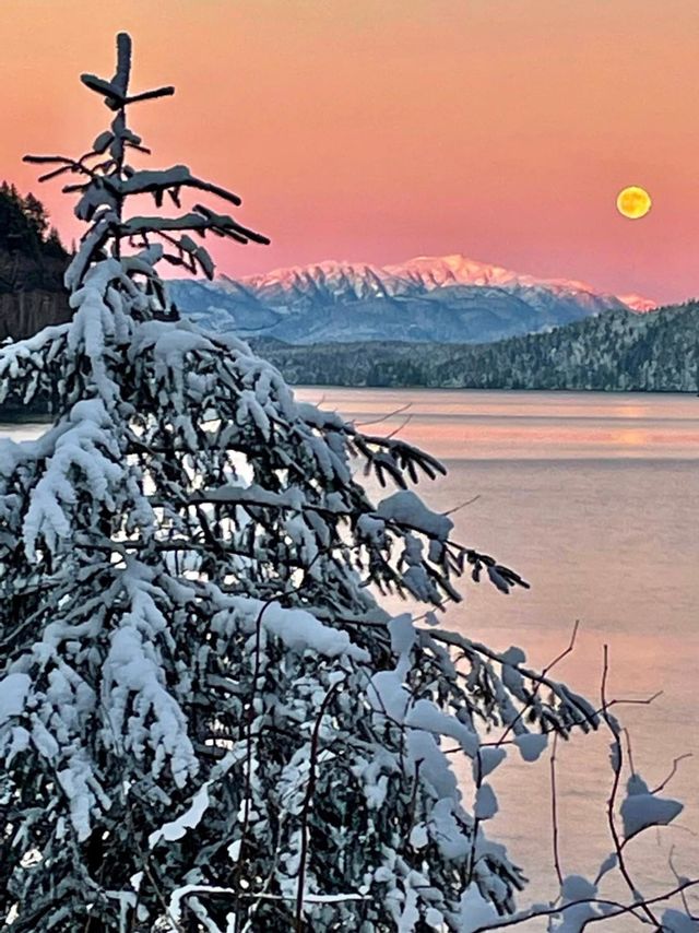 Christmas in Alaska