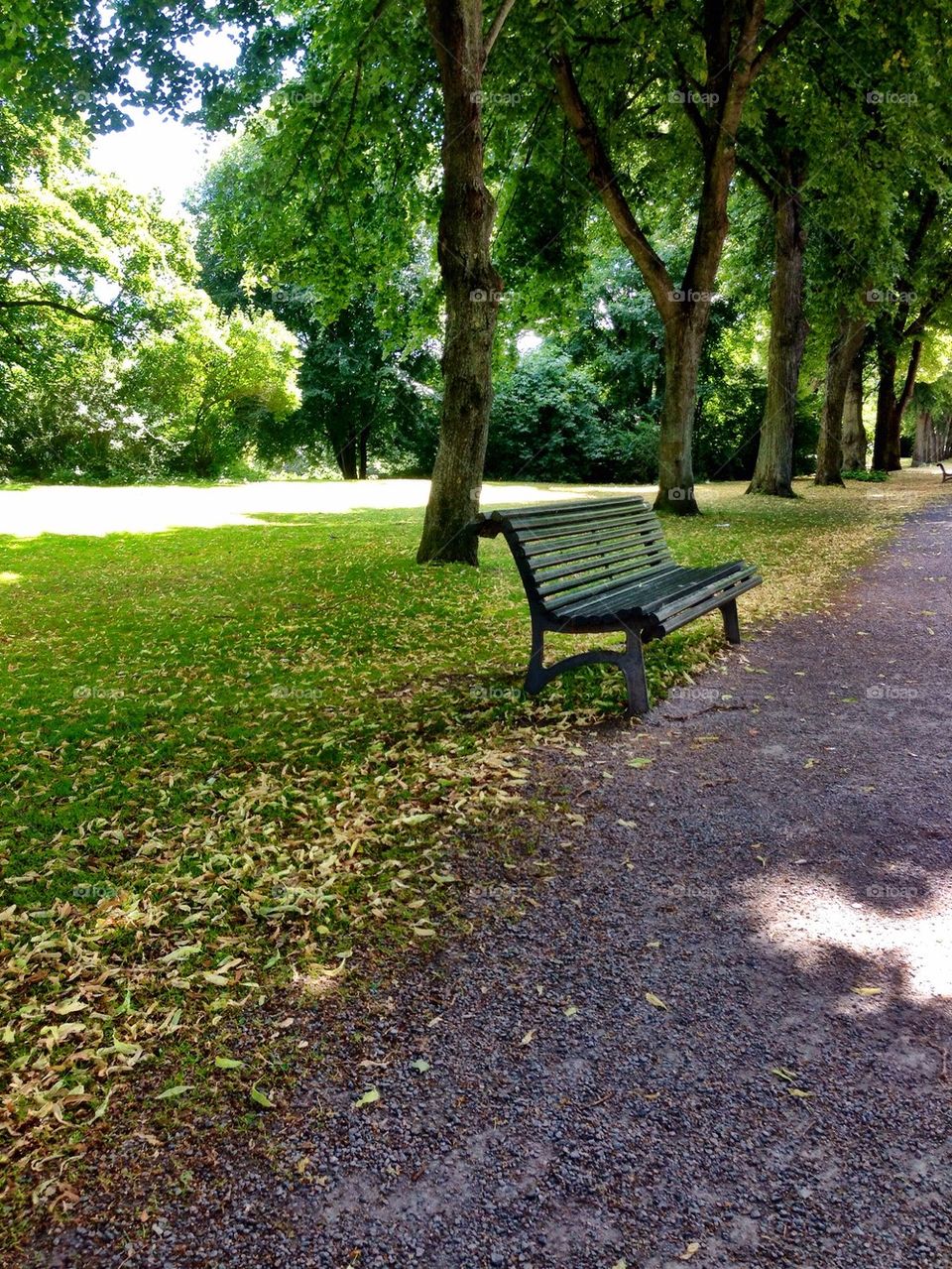 Park Bench