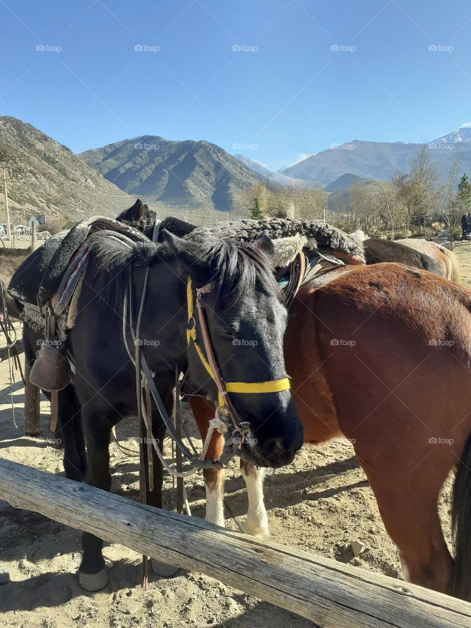 vacaciones en el campo