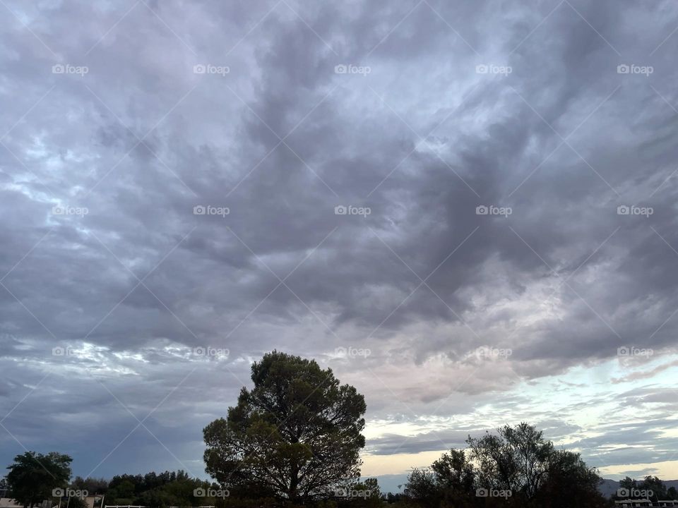 A cloudy sky with trees below.