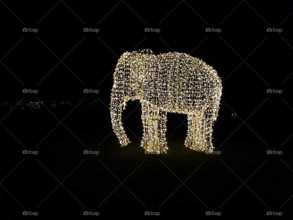 Elephant of light