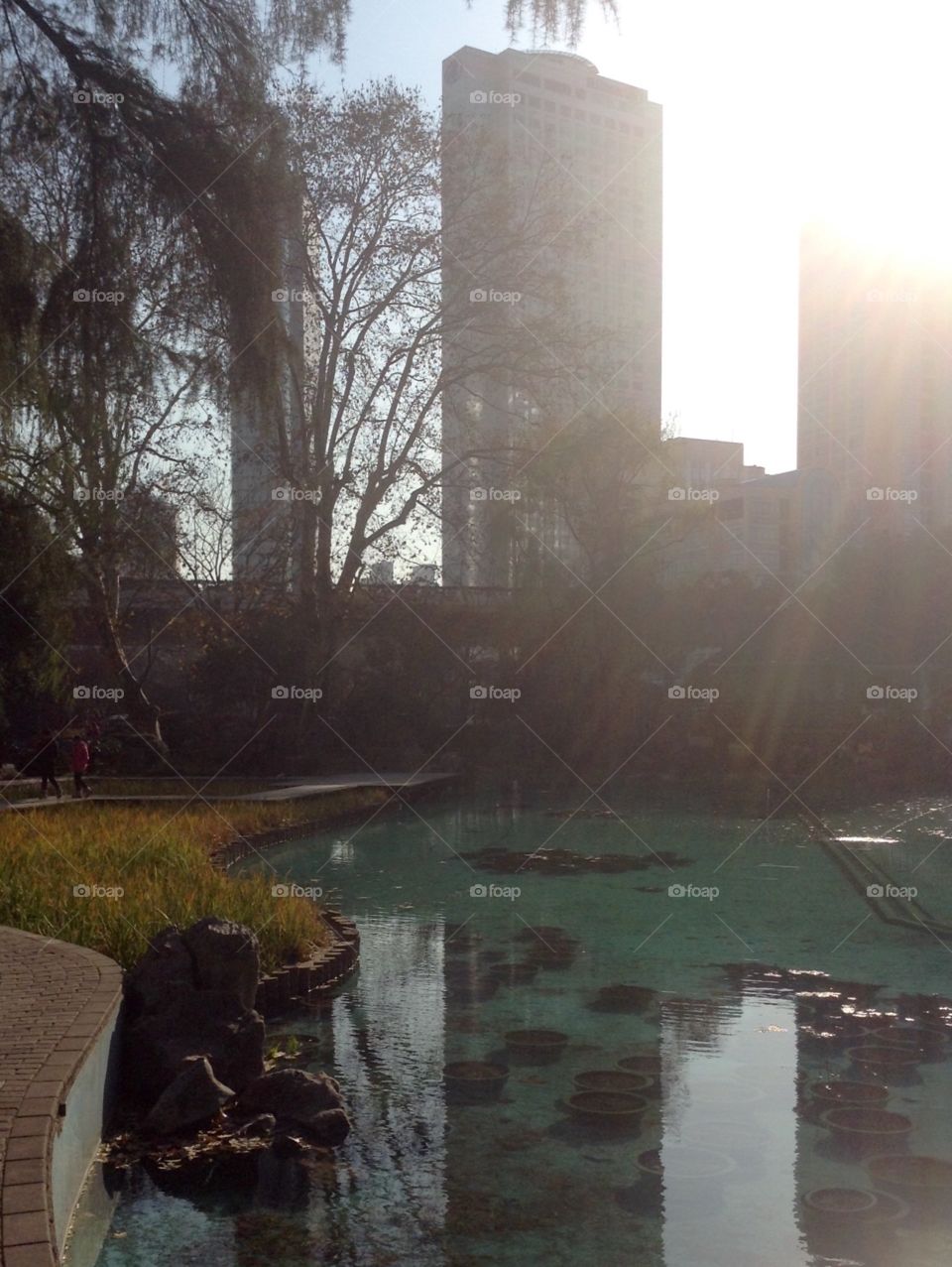 Cityscape of a park with pond and skyscrapers on the horizon