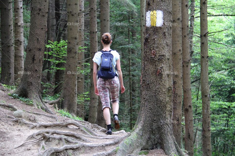 Forest hiking 