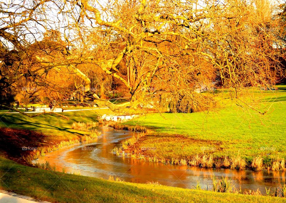 afternoon in the park