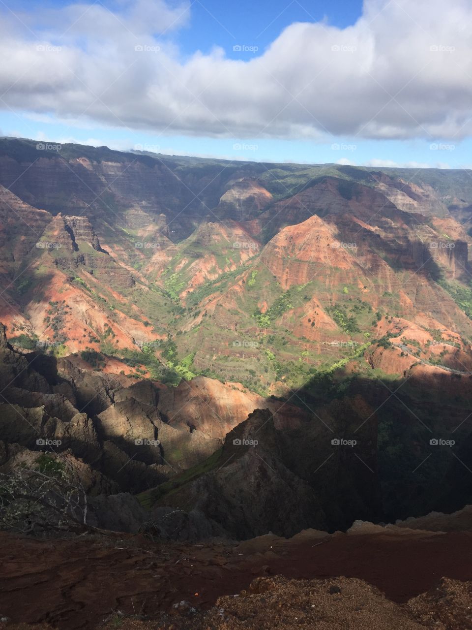 Great Canyon in Hawaii