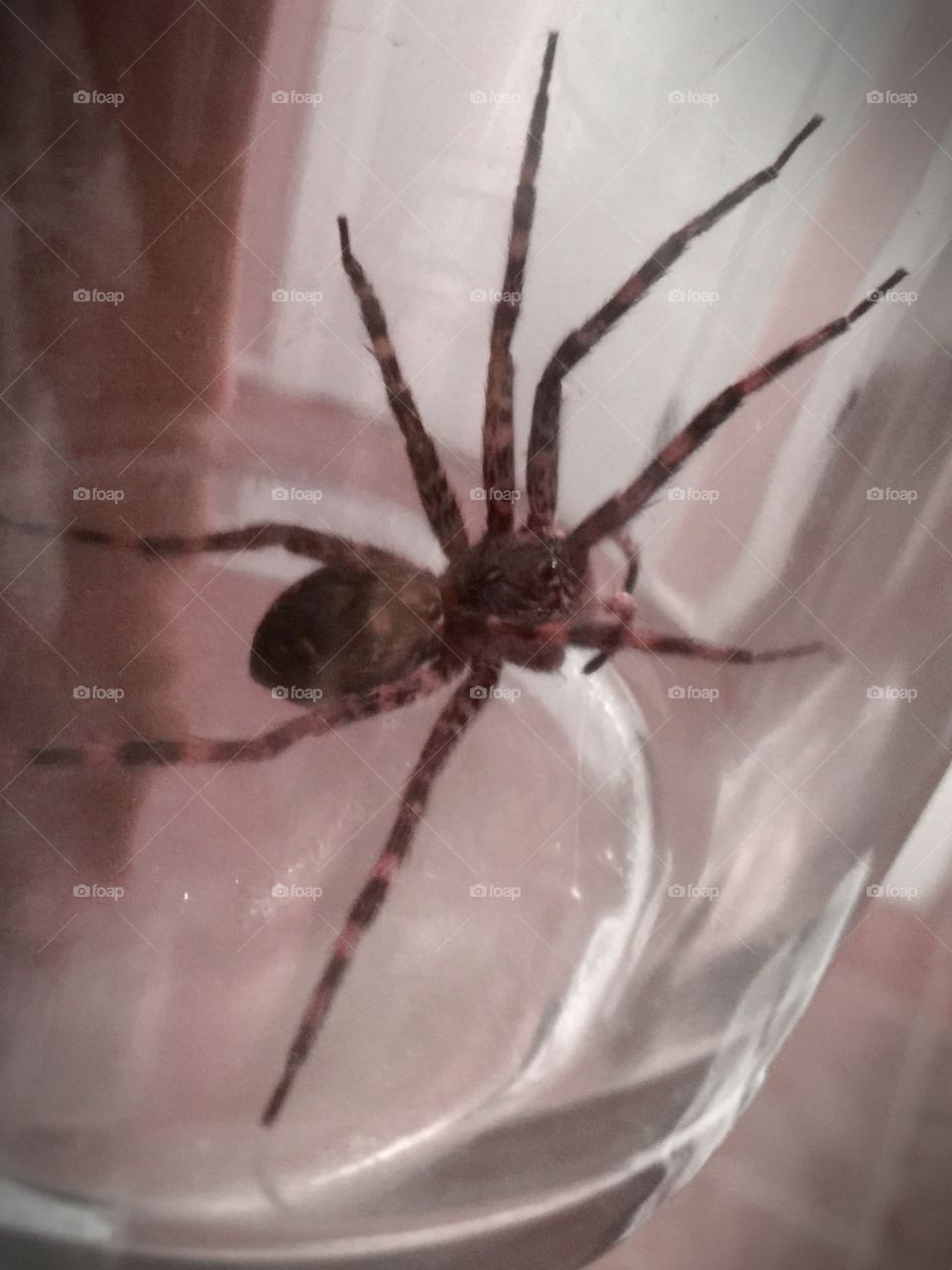 Getting a lift outside 