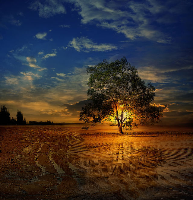 sunset at tanjung beach