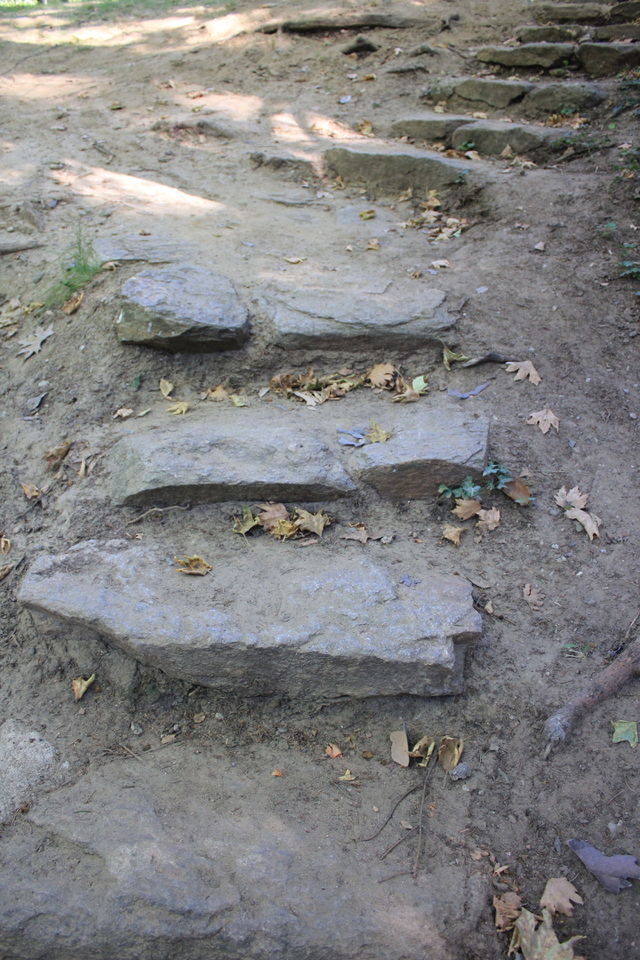 path in the park