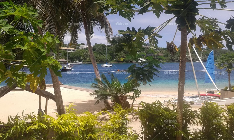 paradise