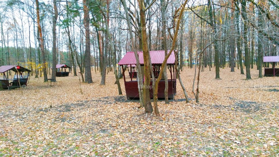 Fall in Kiev park, autumn 2016