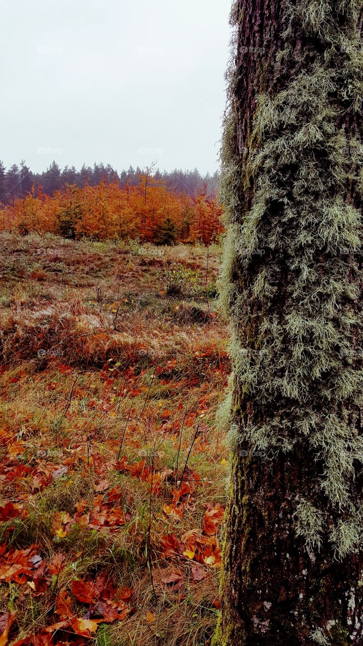 Before morning shave ;-)