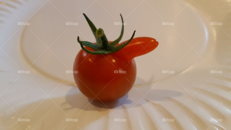 boner tomato