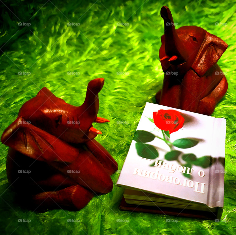 Two wooden elephants and a book of poems about love