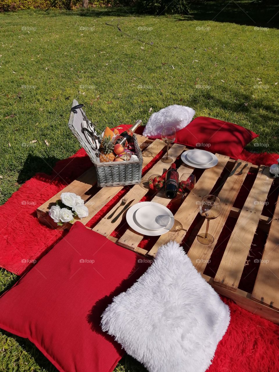 Picnic