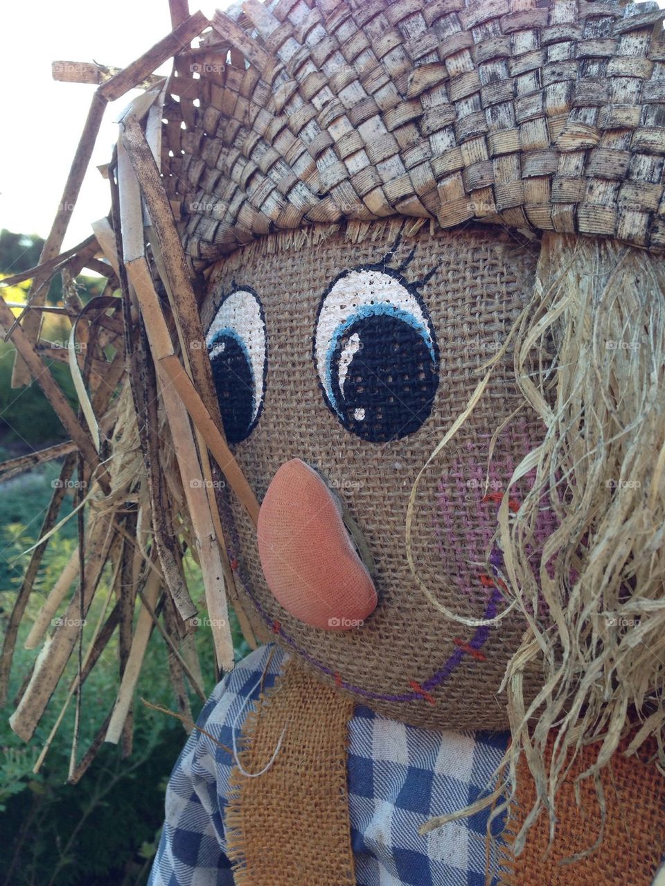 Friendly Scarecrow 
