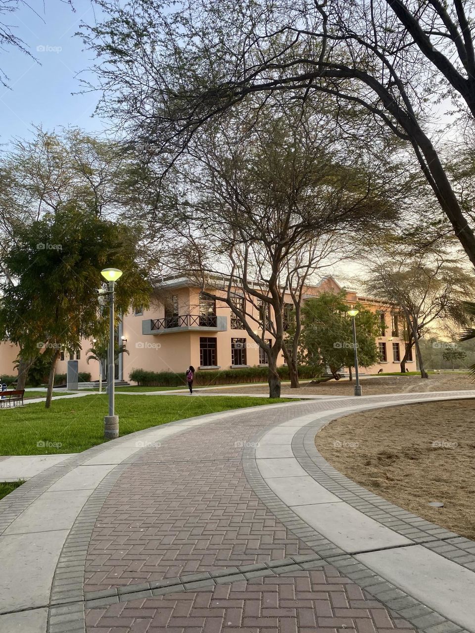 Inside the university 