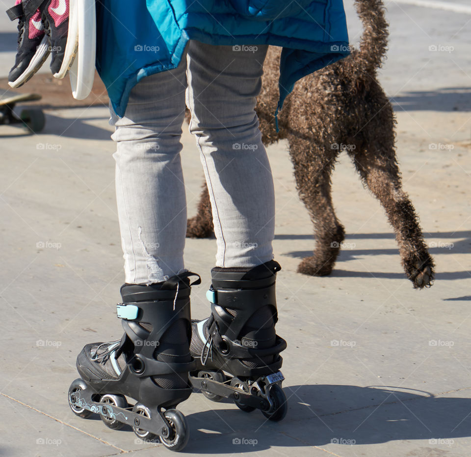 Skating dog