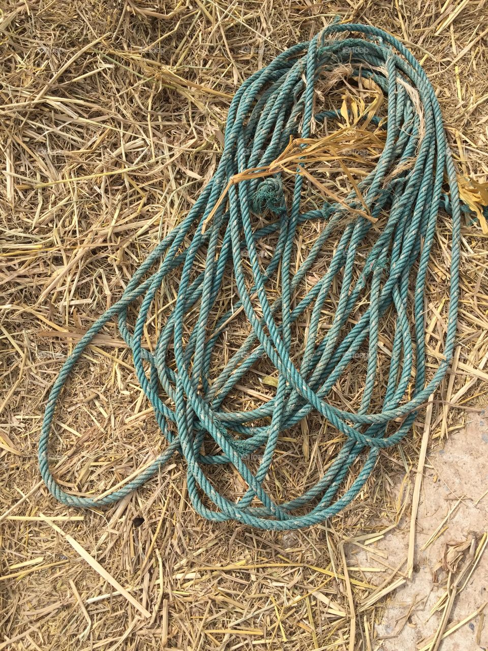 Rope on ground.