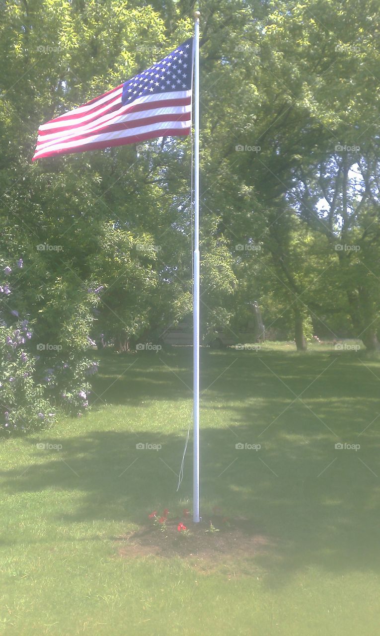 flag in my yard