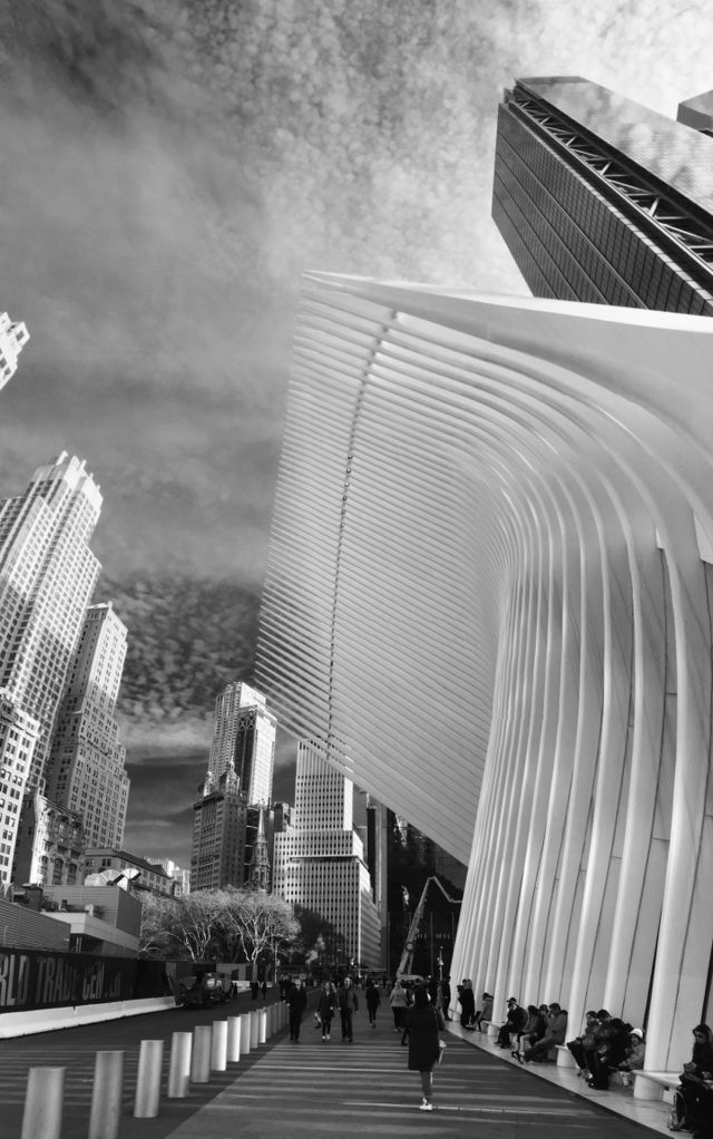 The Oculus 