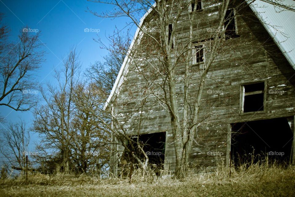 Barn 