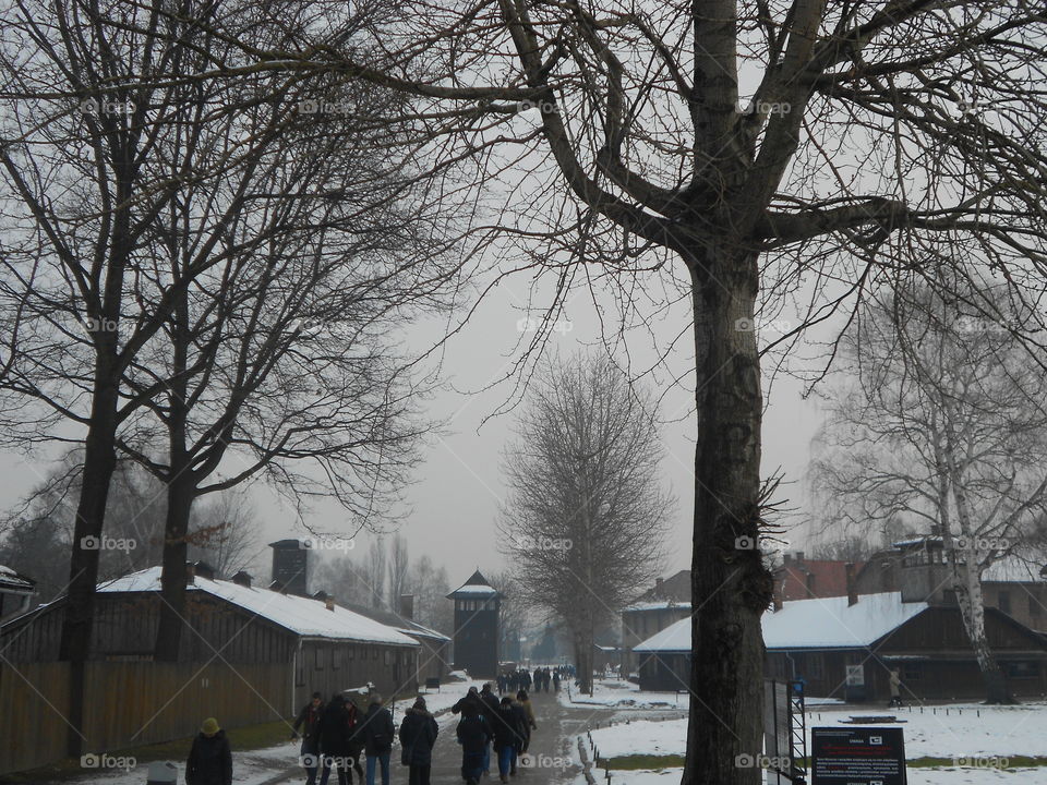 Auschwitz in Winter