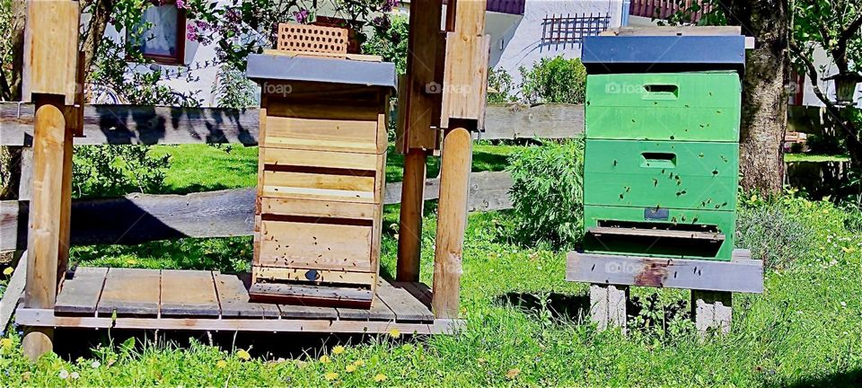 In the vicinity of „Bayerischzell“, a small town near the Alps in „Bavaria“, Germany we found this honey producing company featuring manmade beehives. 2024. Hypnotic Productions