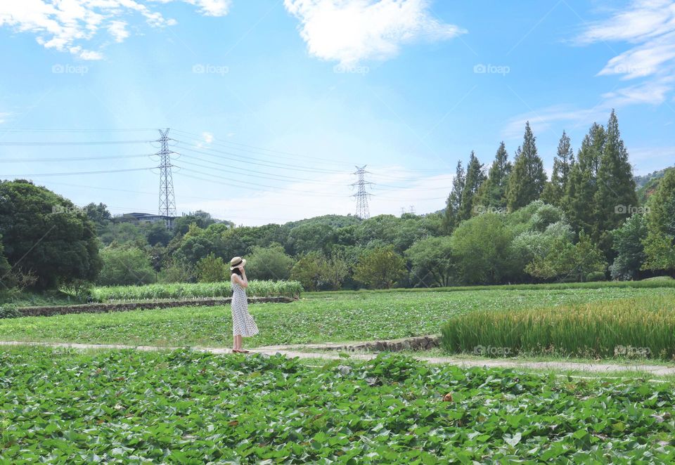 漫步在田野上