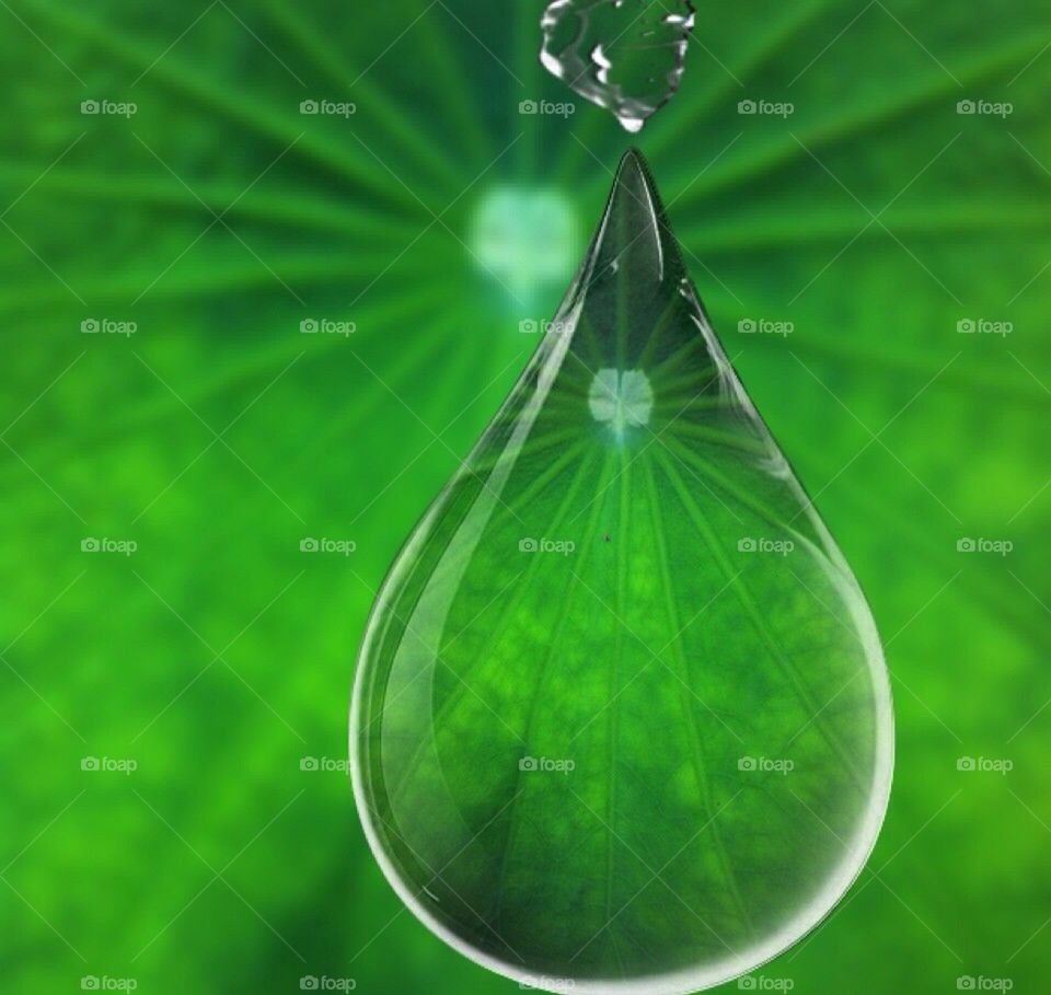 Water drop with lotus leaf
