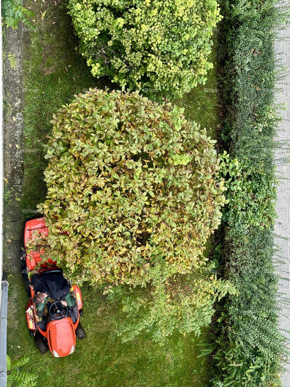 Aerial view gardening 