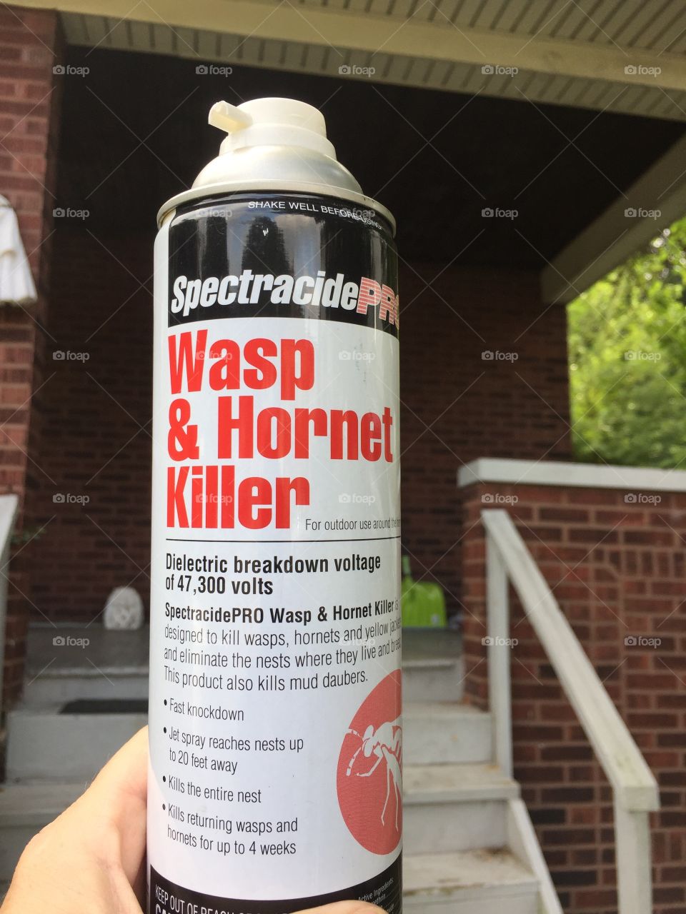 Wasp & Hornet Killer