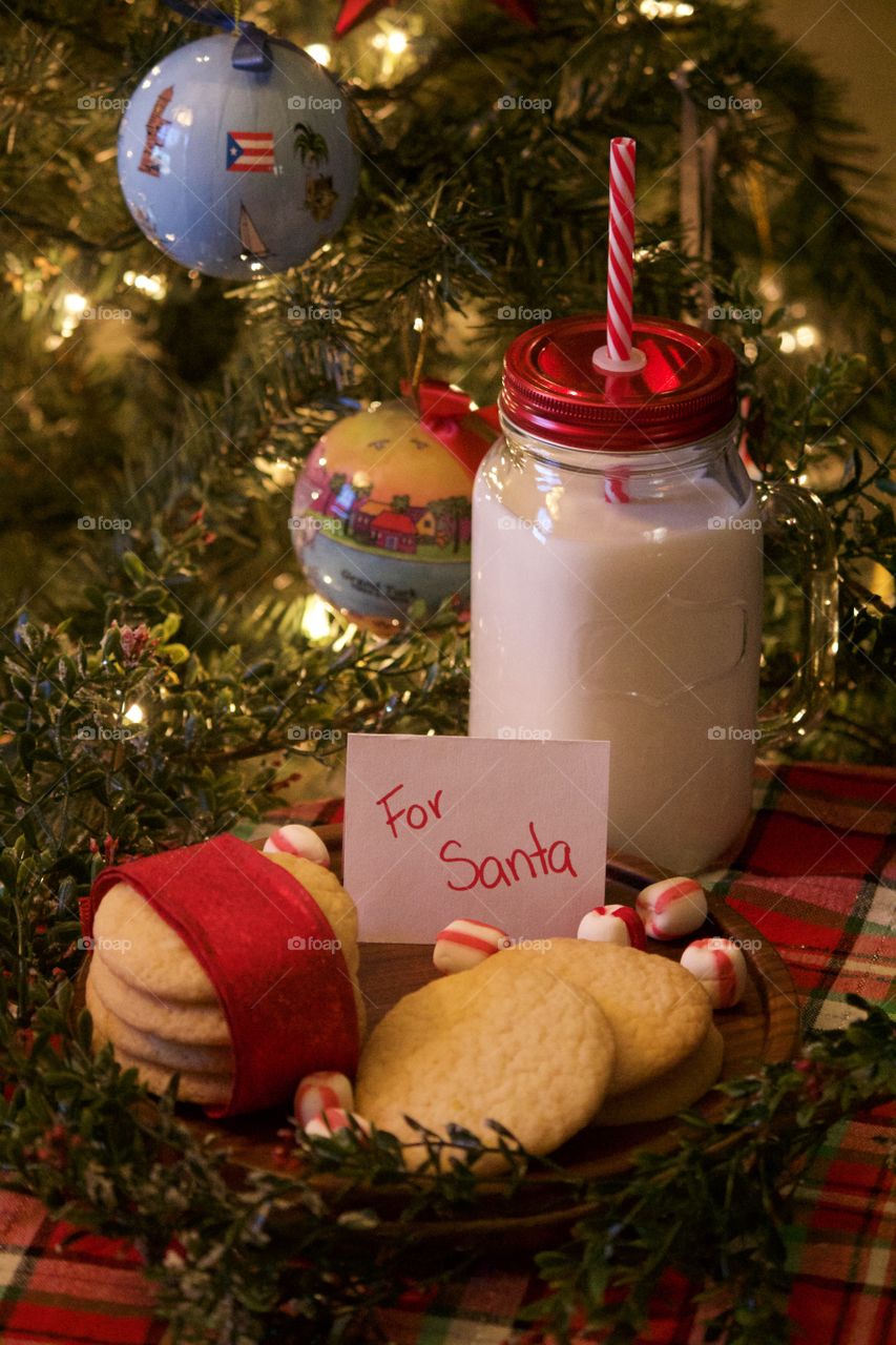 Christmas cookies and milk for Santa 