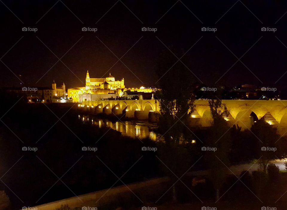 Castle#town#bridge#night#lights