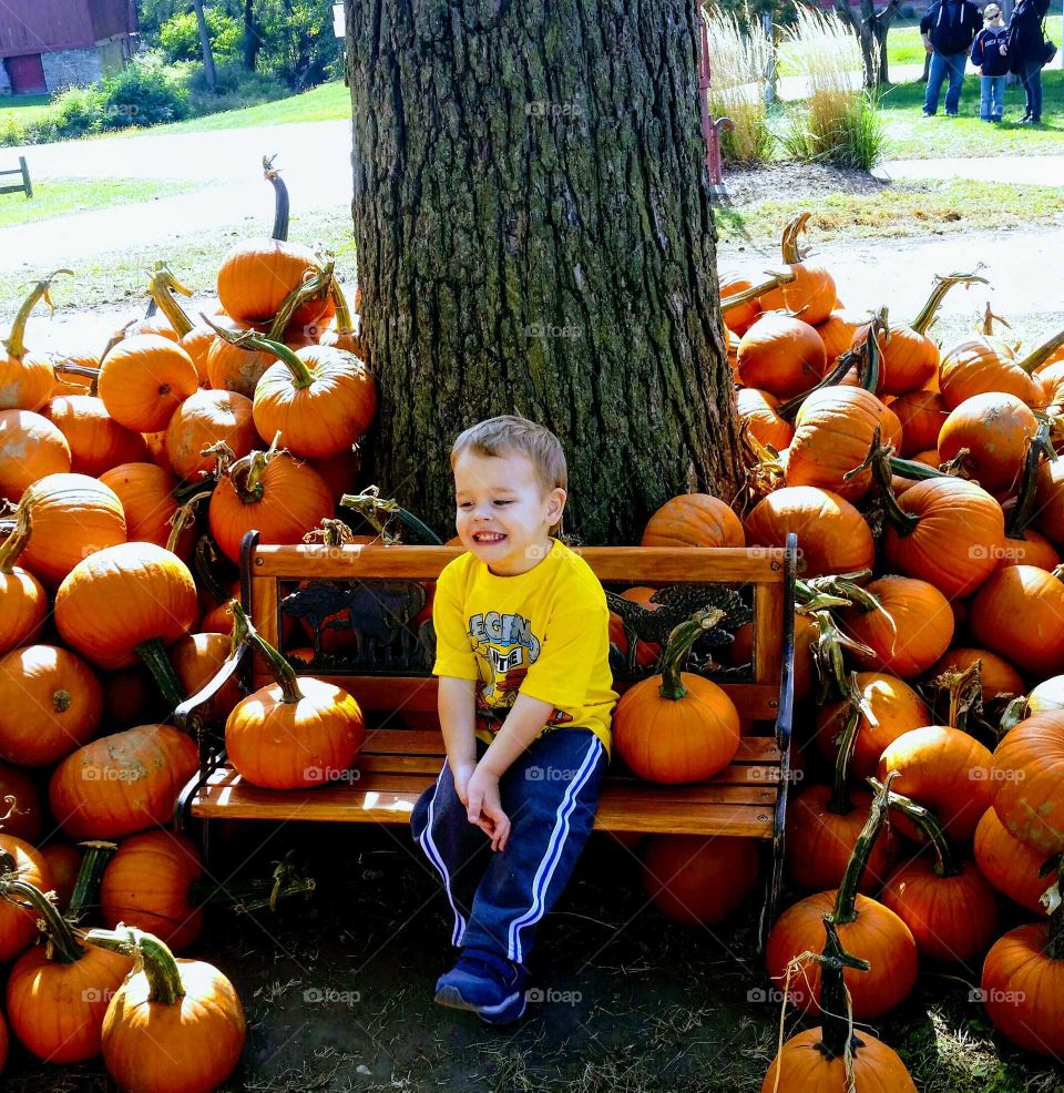 Boy sitting on bench with pumpkins