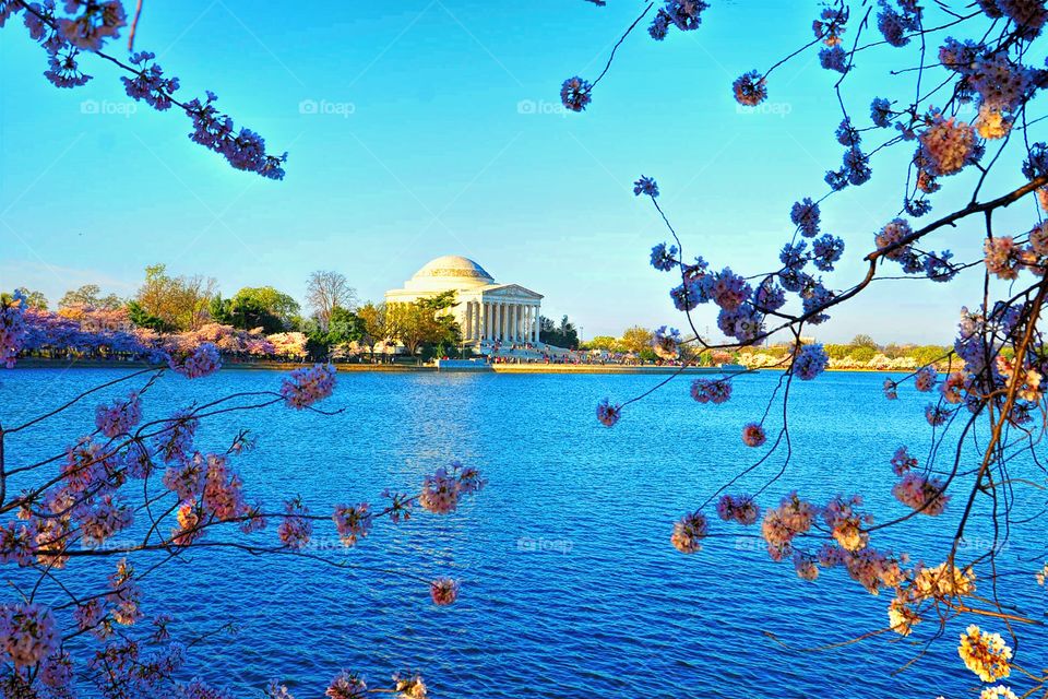 Jefferson Memorial