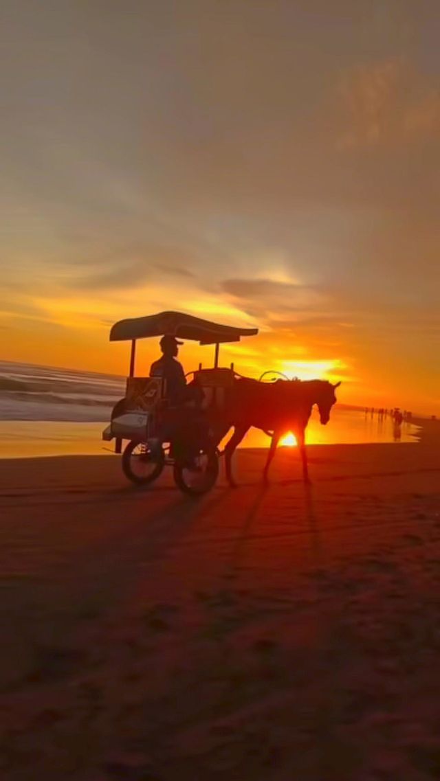 ride a wagon on the beach