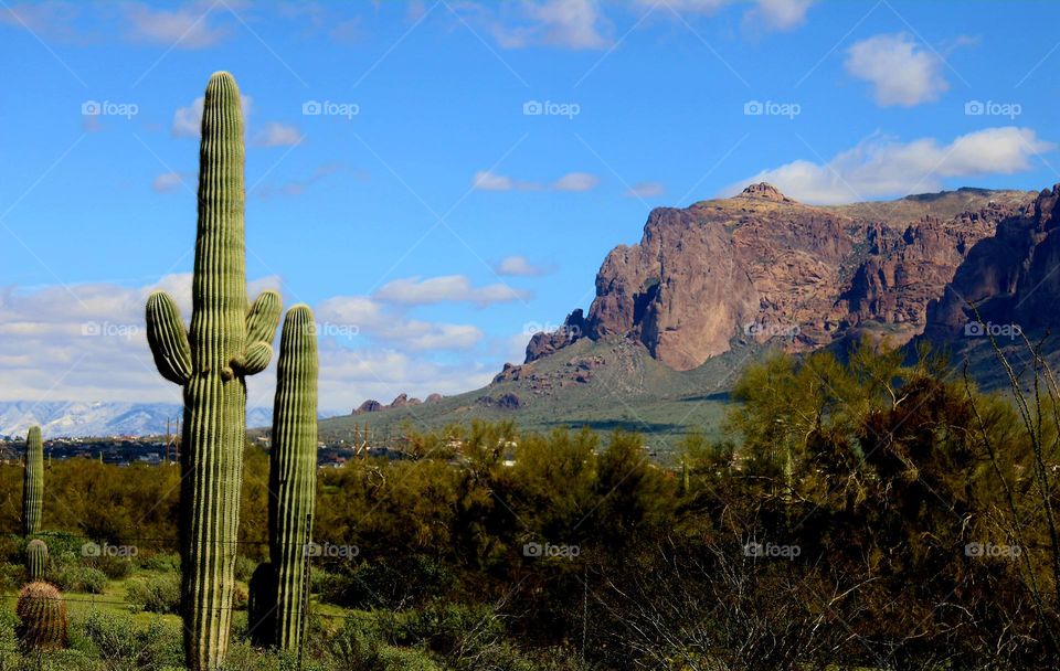 Superstition Mountains in Arizona Desert