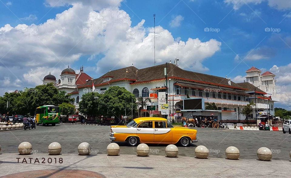 😻😽fresh morning