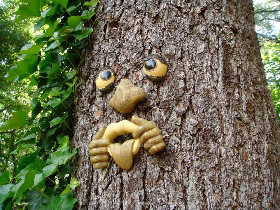 Face on Tree Sticking out Tongue