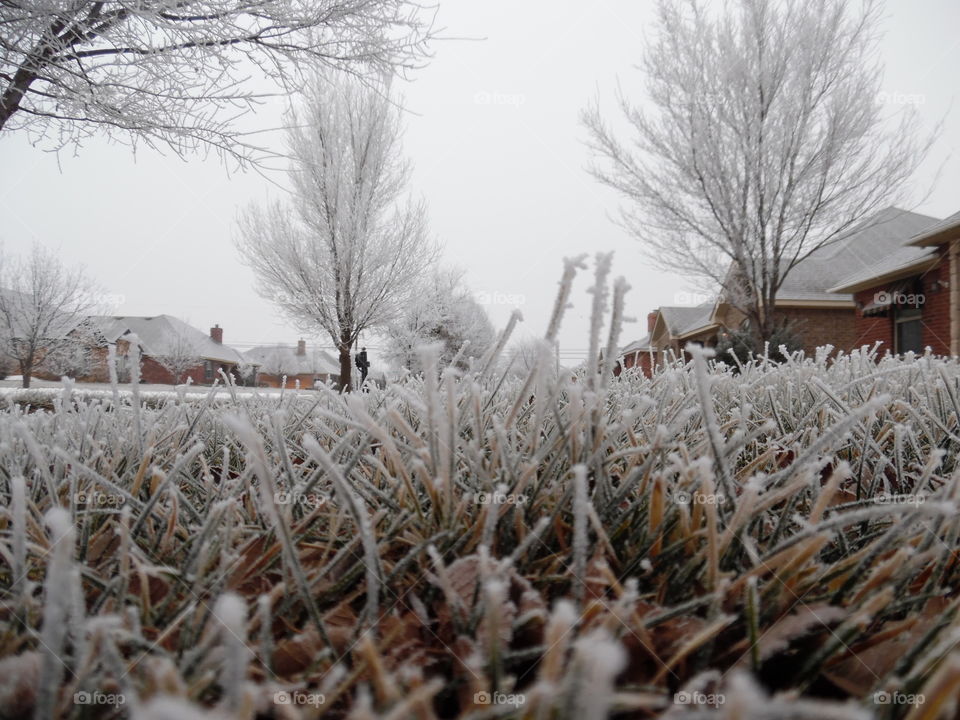 Ground view, frost warning ⚠