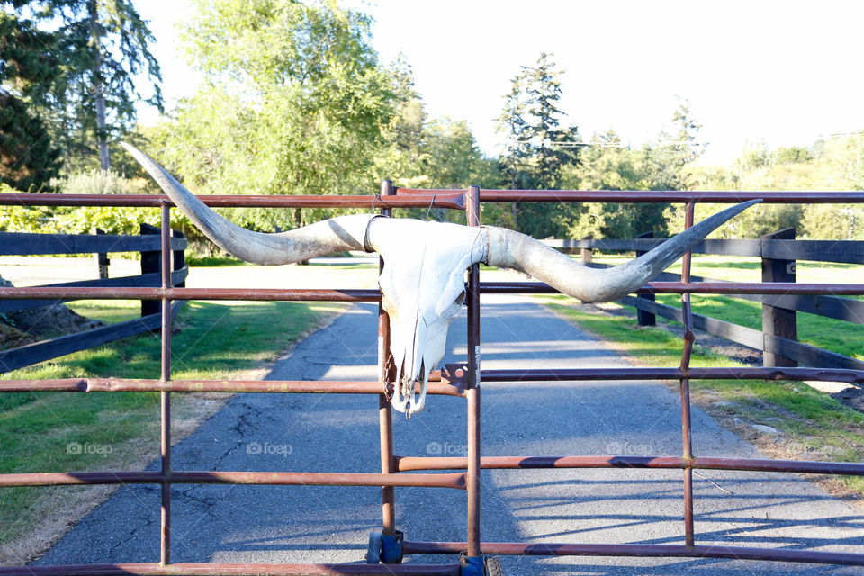 ranch gate