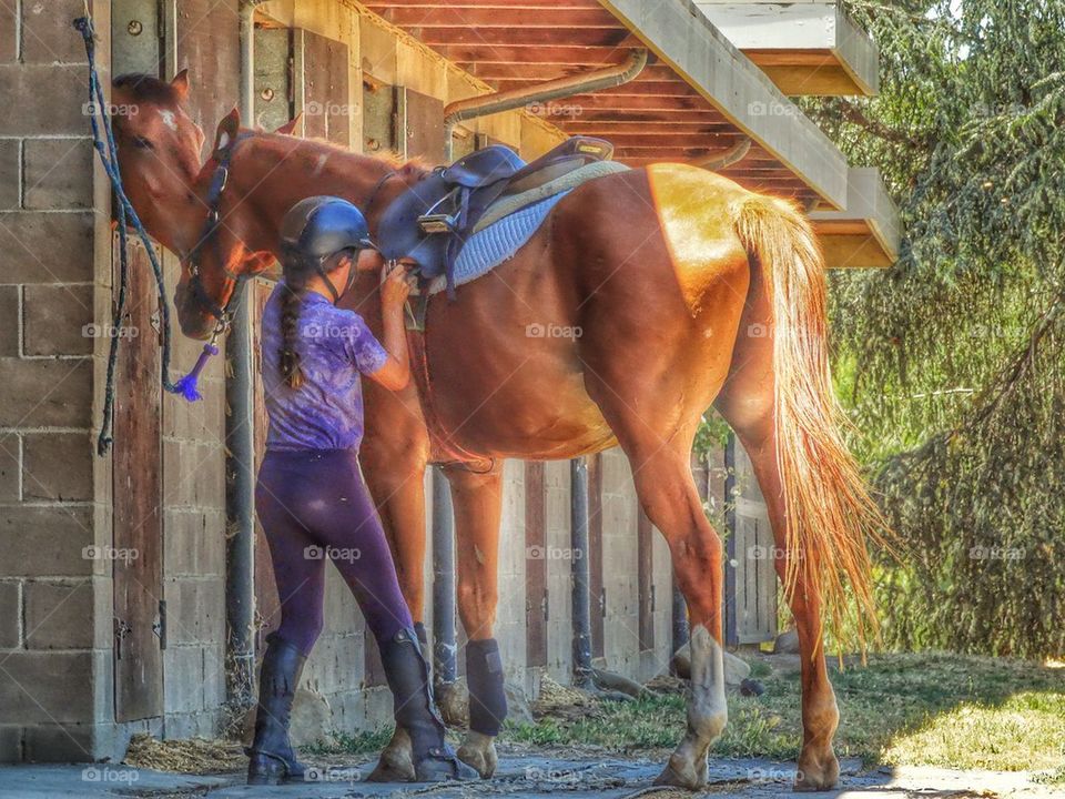 Young Girl Saddling Her Horse In The Stables
