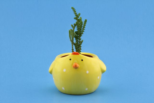 Crazy plant people!