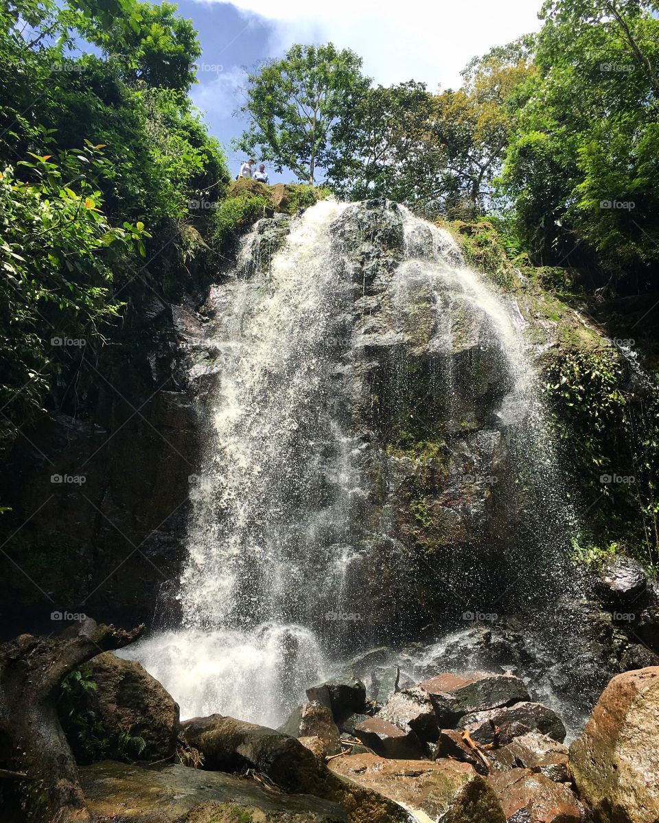 Waterfall in green area