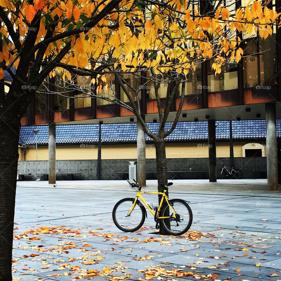 Autumn in the city. Yellow and orange leaves and a yellow bike in front of a building.